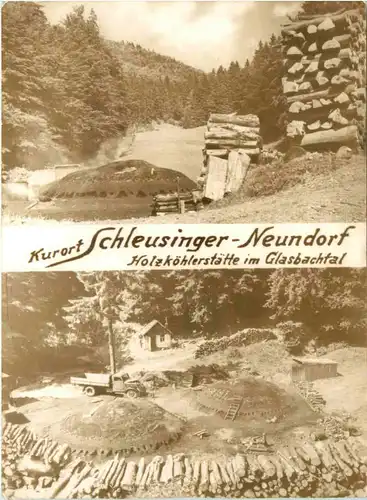 Kurort Schleusinger-Neundorf, Holzköhlergaststätte im Glasbachtal -395722