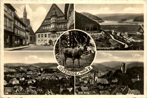Osterode Harz, div. Bilder -395226