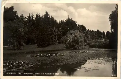 Limbach i.Sa., Stadtpark, Partie am Goldfischteich -394632