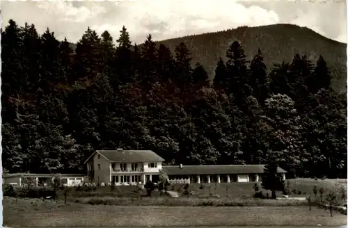 Zwiesel, Hotel Schachter Zwieselwaldhaus -395446