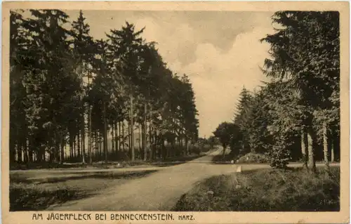 Am Jägerfleck bei Benneckenstein Harz -396032