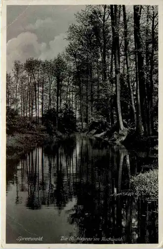 Spreewaldbilder, Die Mühlspree im Hochwald -396338
