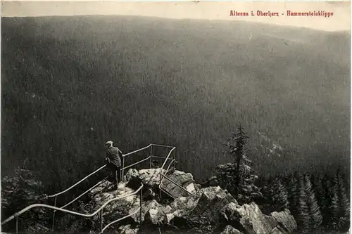 Altenau im Oberharz, Hammersteinklippe -396016