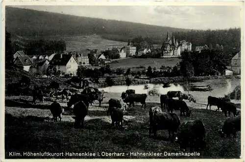 Kurort Hahnenklee i. Oberharz, Hahnenkleer Damenkapelle -396020