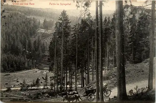 Gruss aus dem Harz, Partie im Spiegeltal -396248