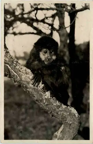 Münchner Tierpark Hellabrunn -395520