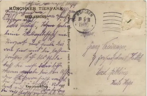 Münchner Tierpark Hellabrunn -395520