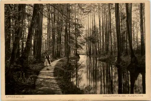 Spreewald, Waldpartie bei Altzauche -396408