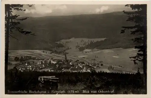 Sommerfrische Bischofsgrün i. fichtelgeb., Blick vom Ochsenkopf -456072