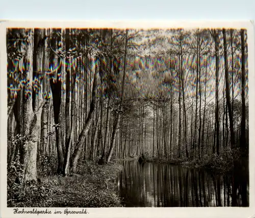Spreewaldbilder, Hochwaldpartie -396336