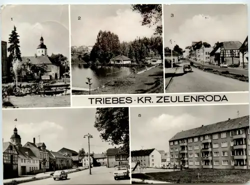 Triebes Kr. Zeulenroda, div. Bilder -395718