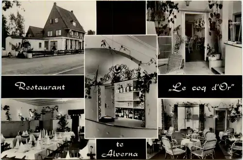 Alverna Restaurant Le coq d Or - s Hertogenbosch -475700