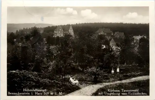 Kurort Benneckenstein, Kurhaus Tannewald -396014