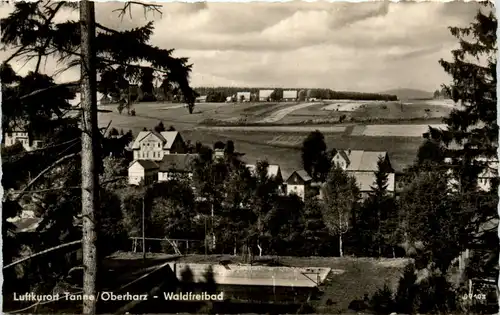 Kurort Tanne, Waldfriedhof -396888