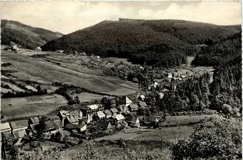 Kurort Wieda Südharz, Blick vom Füllenberg -396114