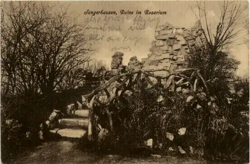 Sangerhausen, Ruine im Rosarium -396796