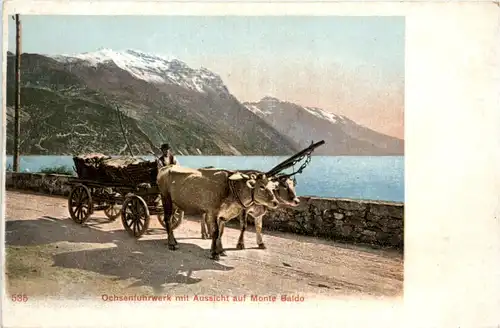 Ochsenfuhrwerk mit Aussicht auf Monte Baldo -476160