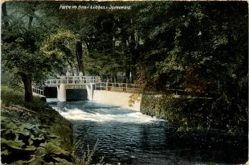 Spreewald, Partie im Hain i. Lübben -396414