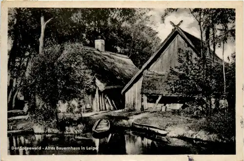 Der Spreewald, Altes Bauernhaus in Leipe -397076