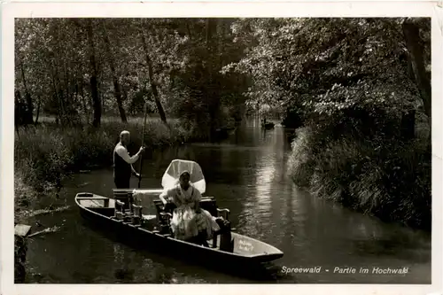 Spreewald, Partie im Hochwald -397100