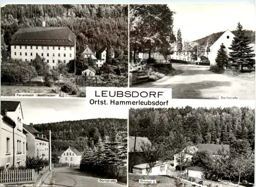 Leubsdorf Ortst. Hammerleubsdorf, div. Bilder -395694