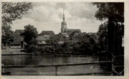 Spreewald, Lübben, Spreepartie mit Blick zur Kirche -397240