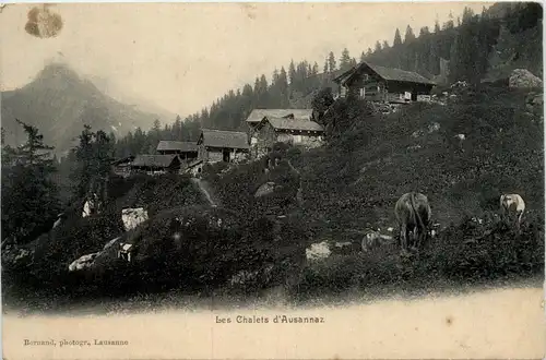 Les Chalets d Ausannaz -476380