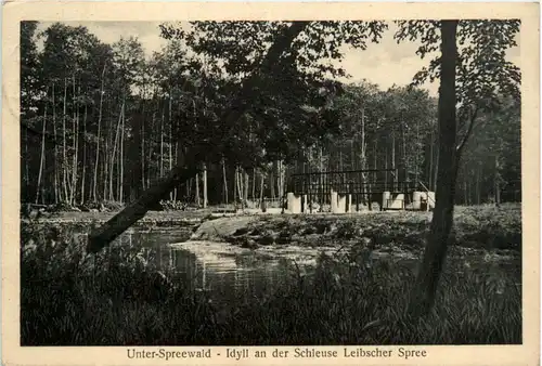 Spreewald, idyll an der Schleuse Leibscher Spree -397400