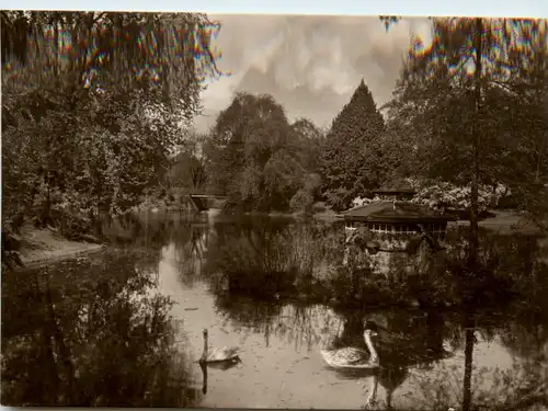 Cottbus, Stadtpark -398078