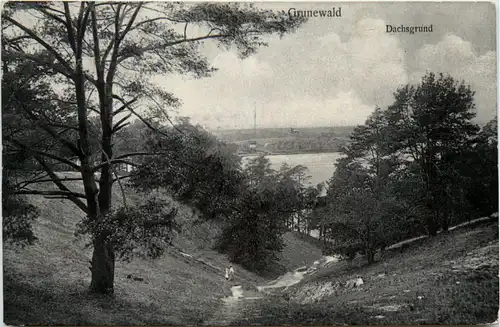 Grunewald, Dachsgrund -396170