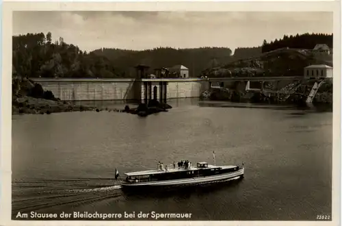 Am Stausee der Bleiloch-Saaletalsperre bei der Sperrmauer -398168