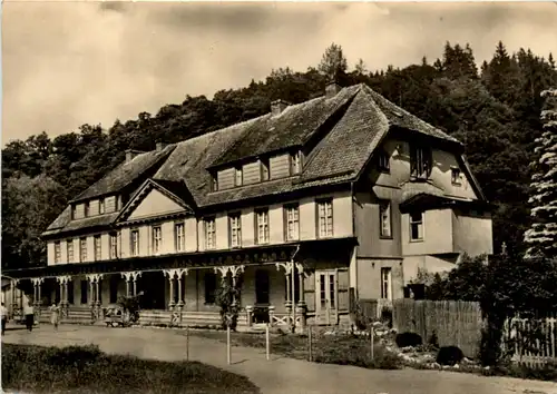 Alexisbad Harz, Badehaus -398248