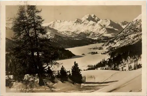 Campfer - Silvaplana -477120