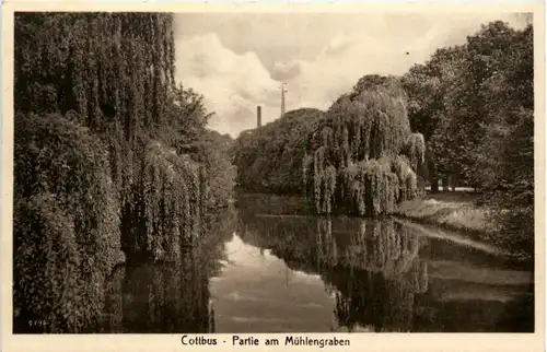 Cottbus, Partie am Mühlengraben -396630