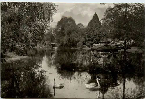 Cottbus, Stadtpark -396650