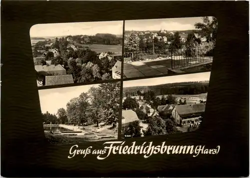 Gruss aus Friedrichsbrunn Harz, div. Bilder -398256