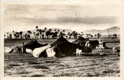 Algerie - Campement de Nomades -457540