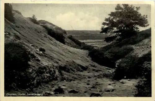 Ommen - Vallei Lemelerberg -494572