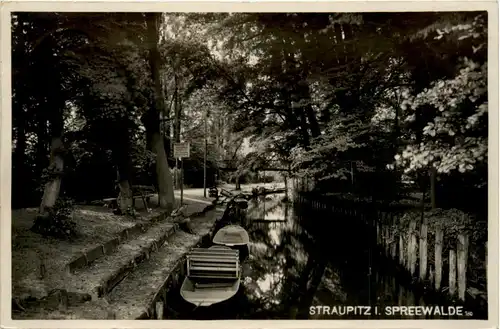 Spreewald, Straupitz -397130