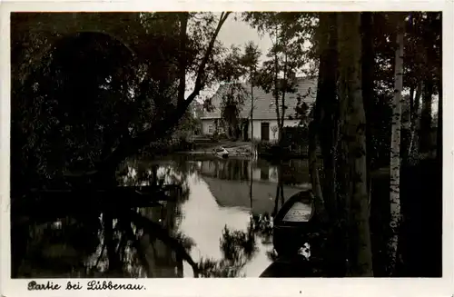 Spreewald, Partie bei Lübbenau -397470