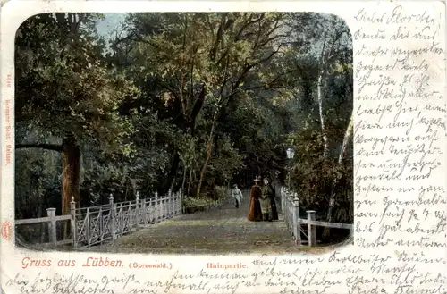 Spreewald, Grüsse, Lübben, Hainpartie -397530