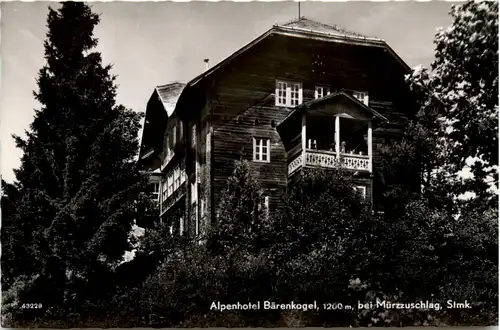 Alpenhotel Bärenkogel bei Mürzzuschlag -375268