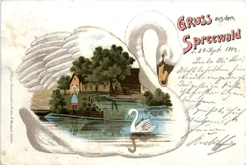 Gruss aus dem Spreewald - Schwan - Litho -494988