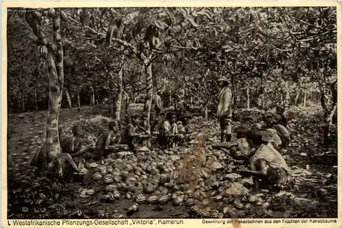 Kamerun - Westafrikanische Pflanzungs Gesellschaft Viktoria -458300