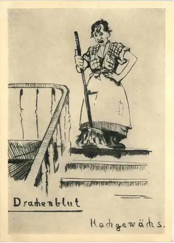 Wein Humor - Drachenblut Hochgewächs -496258