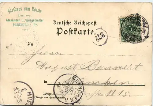 Münster Freiburg - Litho -496036
