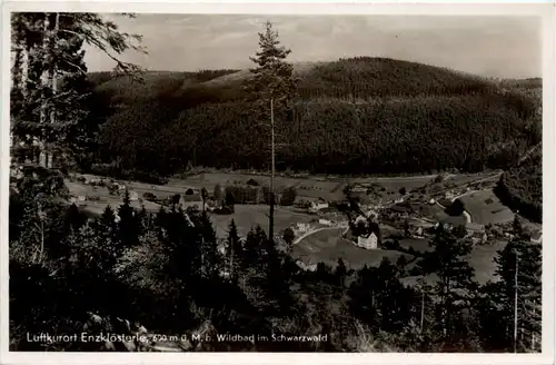 Enzklösterle - Wildbad im Schwarzwald -496978