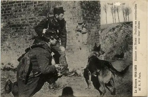 Guerre 1914-1915 - Poilus en sentinelles avec leur chien -497622
