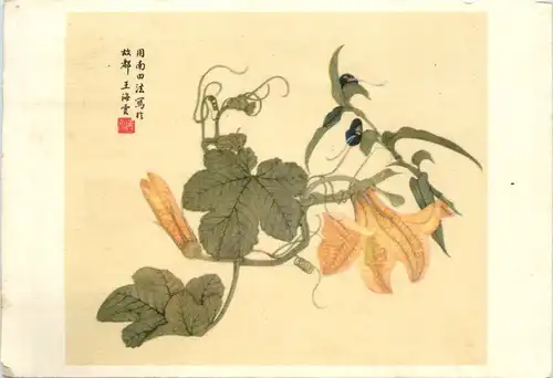 Pumkin Flower - China -496474