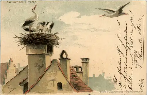 Strassburg - Störche - Litho -498462